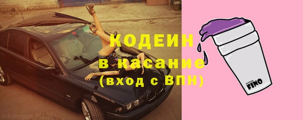 гашик Лагань