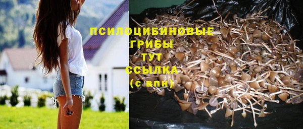 гашик Лагань