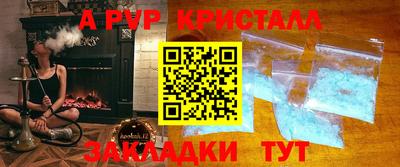 кокс Гатчина