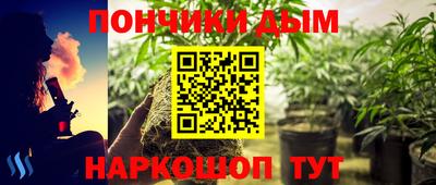 кокс Гатчина