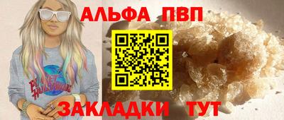 кокс Гатчина