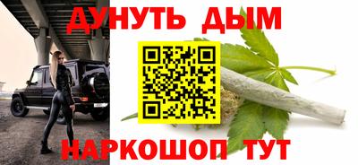 кокс Гатчина