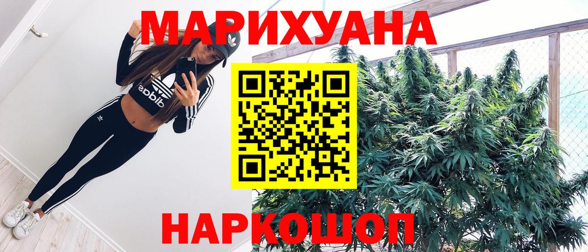 Конопля SATIVA & INDICA  Вход с VPN  Бошки марихуана план  Бошки марихуана конопля  Шишки марихуана планчик  Муравленко 